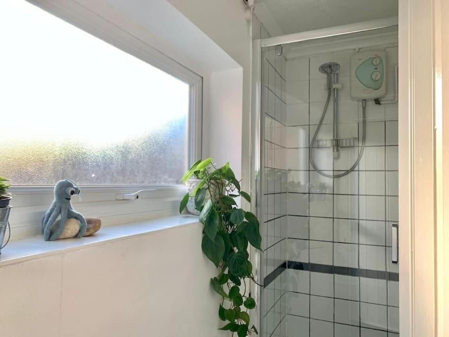 Cute Cottage 4 Mins From Cafes Station And Sea St Leonards-on-Sea 외부 사진